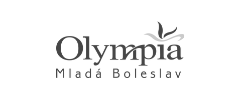 Olympia Mladá Boleslav – partner Petra Mráze v rally
