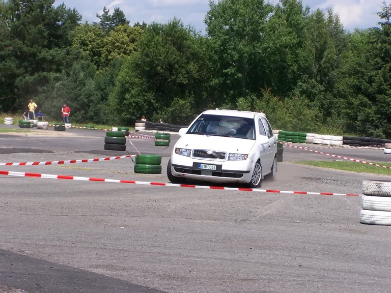 Rally Bělá pod Bezdězem 2008 – Škoda Fabia A5 (2)