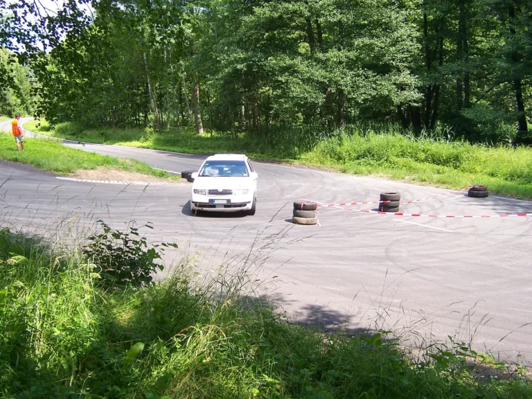 Rally Bělá pod Bezdězem 2008 – Škoda Fabia A5 (3)