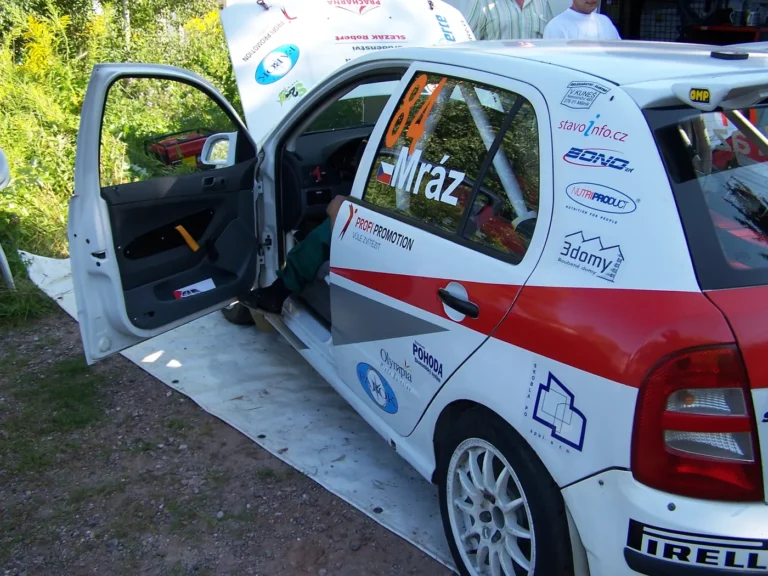 Rally Krkonoše 2009 – Škoda Fabia A5, Petr Mráz (1)