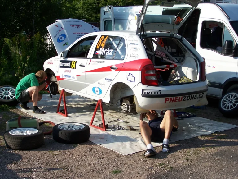 Rally Krkonoše 2009 – Škoda Fabia A5, Petr Mráz (4)