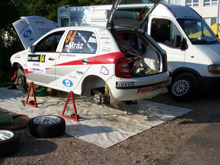 Rally Krkonoše 2009 – Škoda Fabia A5, Petr Mráz (7)